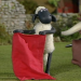 Shaun das Schaf