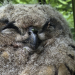 Abenteuer Wildnis