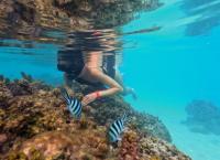 Abenteuer Leben täglich