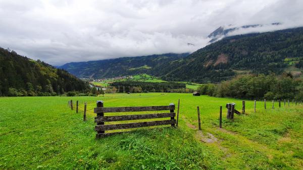 Bild 1 von 3: .
