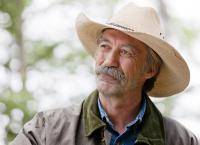 Heartland - Paradies für Pferde