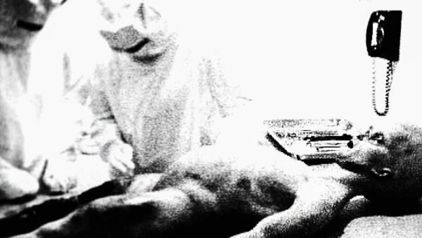 Bild 1 von 5: 1995 taucht ein auf den ersten Blick authentisch wirkendes Video einer Alien-Obduktion auf.