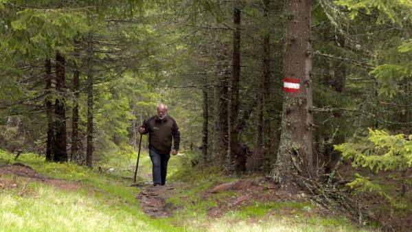 Bild 1 von 9: Im Bild: