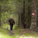 Heimat Österreich