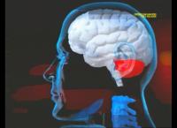 Medical Detectives - Geheimnisse der Gerichtsmedizin