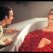 American Beauty