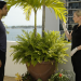 CSI: Miami