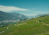 Wanderparadies Schweiz: Unterwegs an der Suone von Ayent