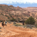 Unter Cowboys und Navajos