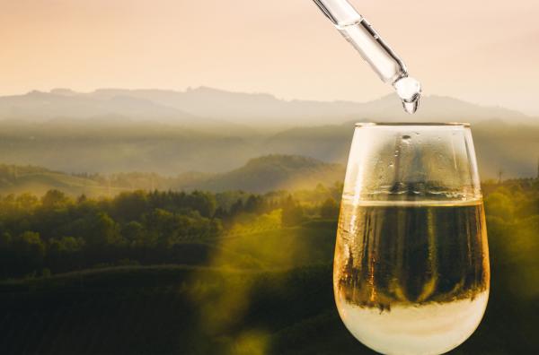 Bild 1 von 4: Pipette über einem gefüllten Weinglas vor hügeliger Landschaft. Keyvisual \