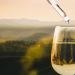 Der große Weinskandal - Panscher und Profit