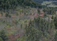 Mud Mountain Truckers