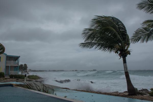 Bild 1 von 3: 