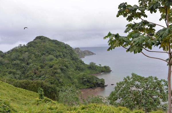Bild 1 von 2: Die unbewohnte Kokos-Insel ist vulkanischen Ursprungs. Angeblich sind Piratenschätze auf ihr versteckt.