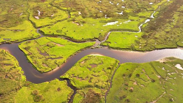 Bild 1 von 4: Zum walisischen Eryri-Nationalpark gehören nicht nur Berge, sondern auch große Feuchtgebiete.