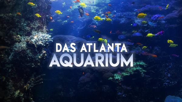 Bild 1 von 1: Logo