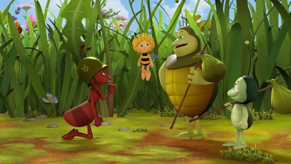 Bild 1 von 4: Paul bittet Kurt, den Mistkäfer, um Verzeihung.