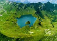 Tierwelt der Alpen - Herbst