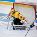Eishockey Live - Die IIHF WM