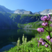 Lungau - Wildnis im Herzen der Tauern