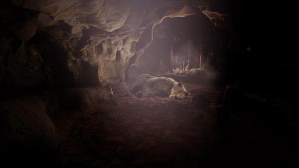 Bild 1 von 3: Höhlenbären nutzten die Chauvet-Höhle als Unterschlupf und hinterließen dort ihre Spuren. Möglicherweise bewohnten sie die Höhle zur selben Zeit, in der sie auch von Menschen genutzt wurde.