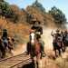 Rio Lobo