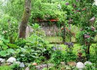 Wunderwelt Garten: Paradies für Mensch und Tier