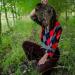 Bild 14