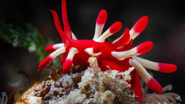 Bild 1 von 7: Sendungsbild