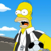 Die Simpsons