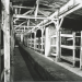 Auschwitz - Überleben in der Hölle