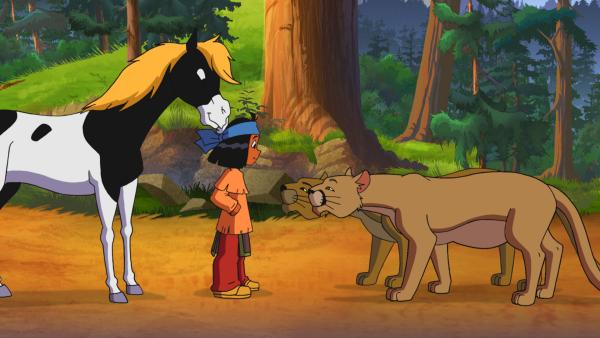 Bild 1 von 3: Yakari verbündet sich mit den Pumas.© WDR/Storimages - Honorarfreie Verwendung gemäß AGB im redaktionellen Zusammenhang mit genannter Sendung bei Nennung \