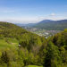 Aufgetischt