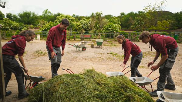 Bild 1 von 3: Vivian, Max, Jóra und Jacob mit Mini-Schubkarren
© MDR/Cine Impuls Leipzig GmbH - Honorarfreie Verwendung gemäß AGB im redaktionellen Zusammenhang mit genannter Sendung bei Nennung \