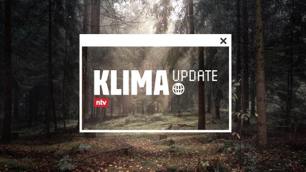 Bild 1 von 1: Das Logo zu