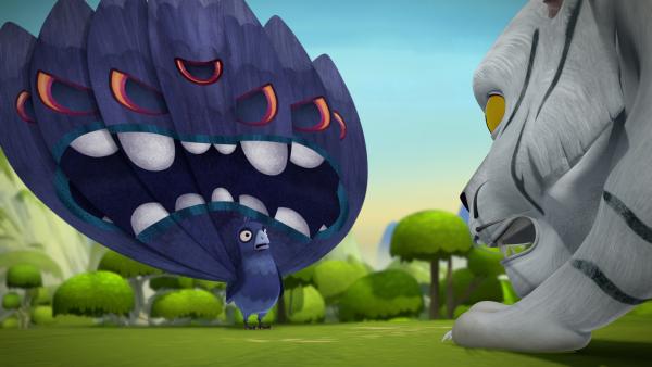 Bild 1 von 7: Die Schreitaube kann den weißen Tiger mit Hilfe ihres gruseligen Federkleids verscheuchen.