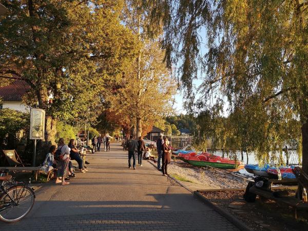 Bild 1 von 14: Uferstreifen in Herrsching am Ammersee.