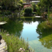 Natur im Garten - Paradies vor der Haustür