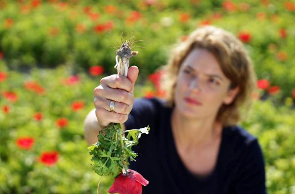 Bild 1 von 5: Harmlose Blumenidylle? Von wegen! Hier gedeihen gefährlichen Pilze. Um ihr Geheimnis zu lüften, muss Lena Ganschow die Blumen buchstäblich bei der Wurzel packen.