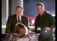 CSI: Den Tätern auf der Spur