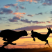 Tierische Blitzattacken