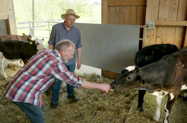 Bild 1 von 3: Marcel Renz? großer Traum: Die Stierkälber bleiben in der Region.