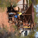 Australian Gold - Schatzsuche Down Under