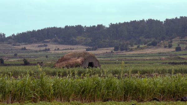 Bild 1 von 3: Sendungsbild