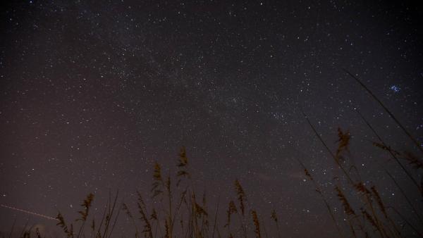 Bild 1 von 1: Sendungsbild