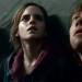 Harry Potter und die Heiligtümer des Todes (2)