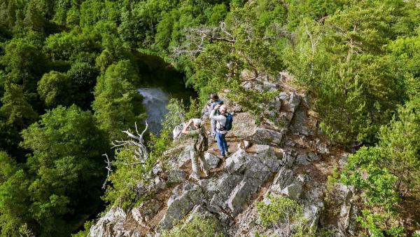 Bild 1 von 50: Im Bild: Hermann Maier, Robert Müllner (österreichischer Ranger) und Josef Solar (Tschechischer Förster) beobachten im Nationalpark die Vögel. Auch wenn die politische Grenze weiterhin besteht, zeigt sich im Alltag der Nationalparks, dass Natur keine Grenzen kennt. Die Kooperation zwischen dem Nationalpark Thayatal und dem Nationalpark Podyjí gilt heute als Beispiel für erfolgreiche internationale Zusammenarbeit im Naturschutz.