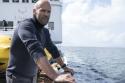 Jason Statham in: Meg