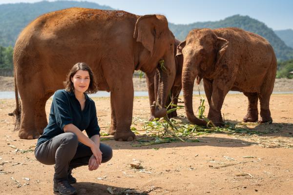 Bild 1 von 13: In Thailand wurden Elefanten traditionell als Arbeitstiere eingesetzt. Auch heute noch arbeiten tausende Elefanten in der Tourismusindustrie. Doch was passiert mit Tieren, die nicht mehr arbeitsfähig sind? Hannah Emde besucht eine Elefanten-Auffangstation im Norden Thailands.