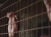Hinter Gittern - Die härtesten Gefängnisse der Welt